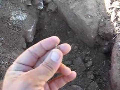 Minelab GPX-4500 Metal Detector Finds Gold Nugget Part 2