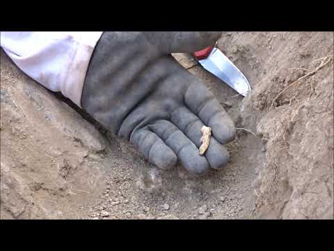 Metal Detecting in Arizona for gold nuggets with the new Minelab GPX 6000 Metal Detector
