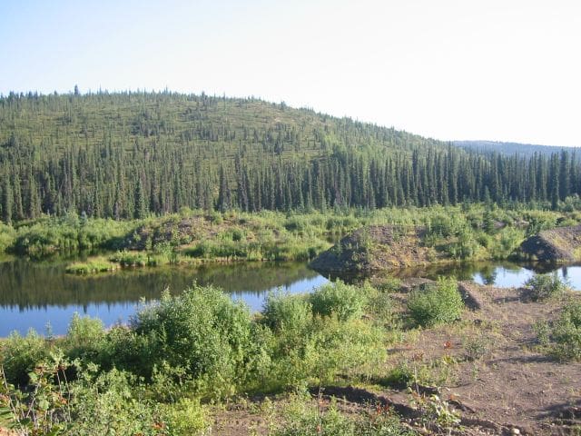 gold-nugget-hunting-moore-creek-alaska