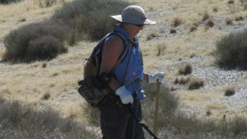 Detector Hipstick 2.0