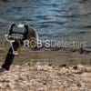 Garrett AT Pro Metal Detector