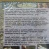 Metal Detectors with Mike Bowers DVD